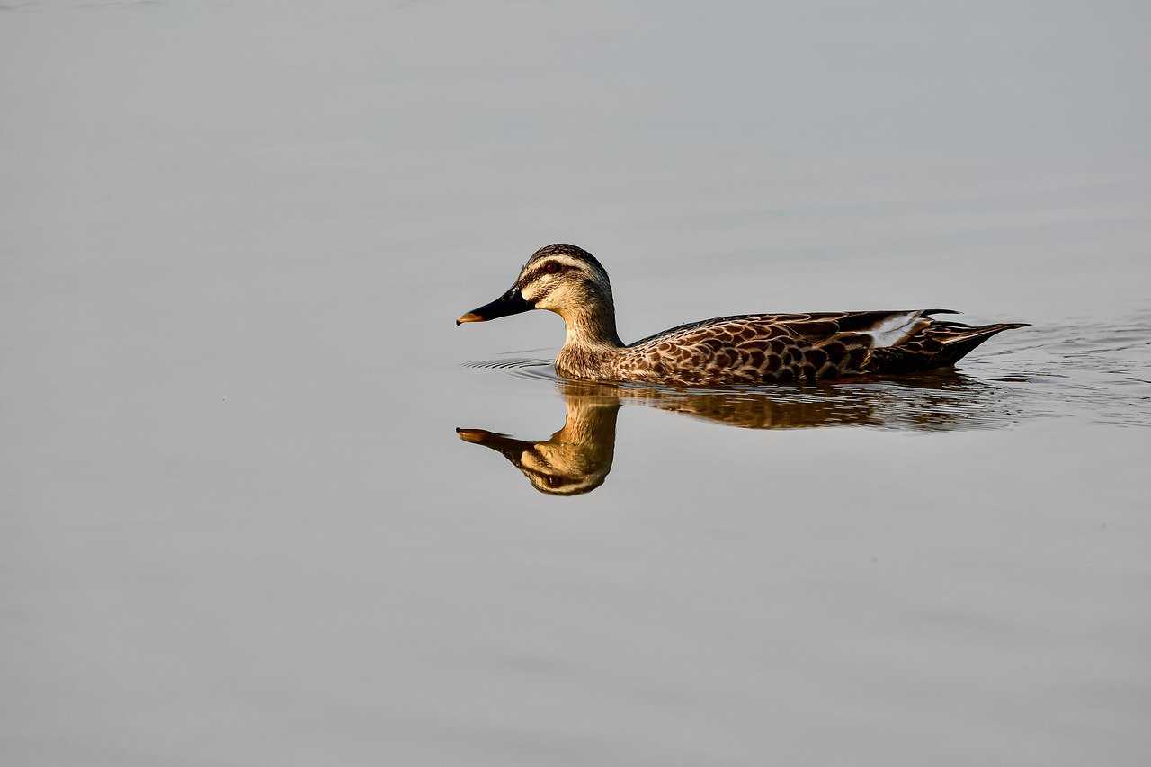 read hands-on unity 2022 game development online free