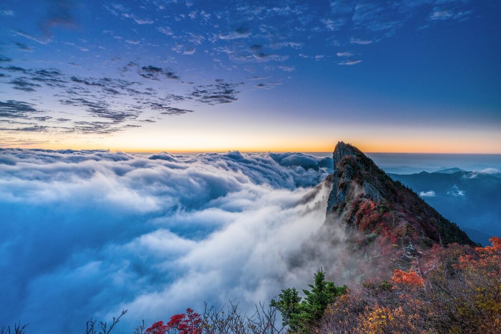 right before this time, photography was a major milestone in the art and __________ world.