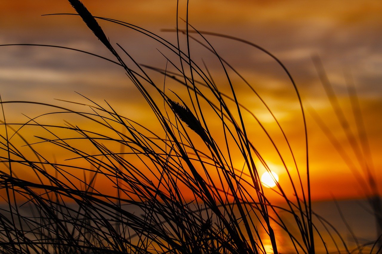 womanhood history ewmhisto