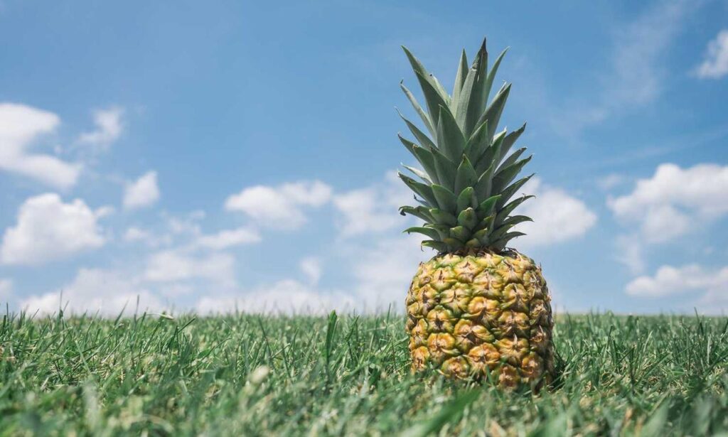 items in honzava5 game