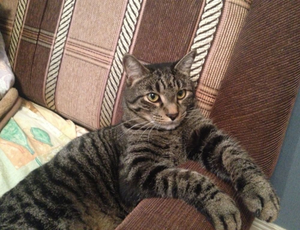 what represents sisterhood ewmsister