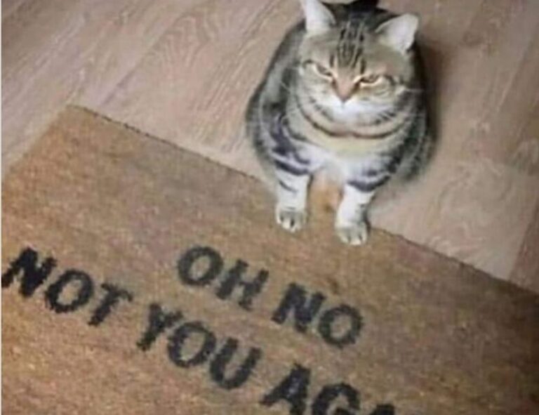 why lerakuty cave water so clear