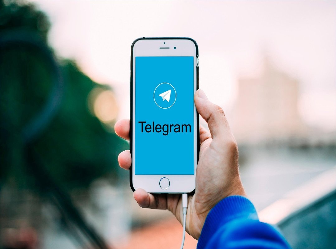 babysuji telegram