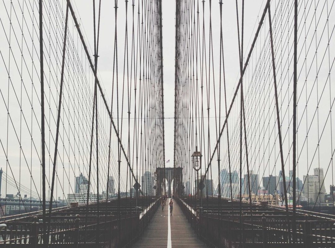 Your First Doodle: A Step-by-Step Tutorial