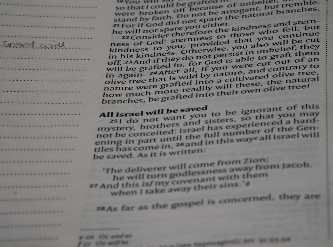 Investigating the 'Abigail Experiment Photos': What Are You Really Seeing?