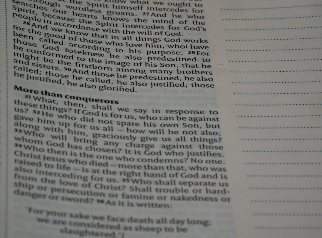 More Than a Single Scene: Appreciating the Full Picture