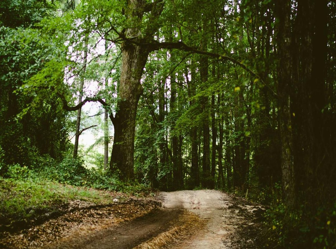 Utah's Key Performers: Analyzing the Jazz by the Numbers