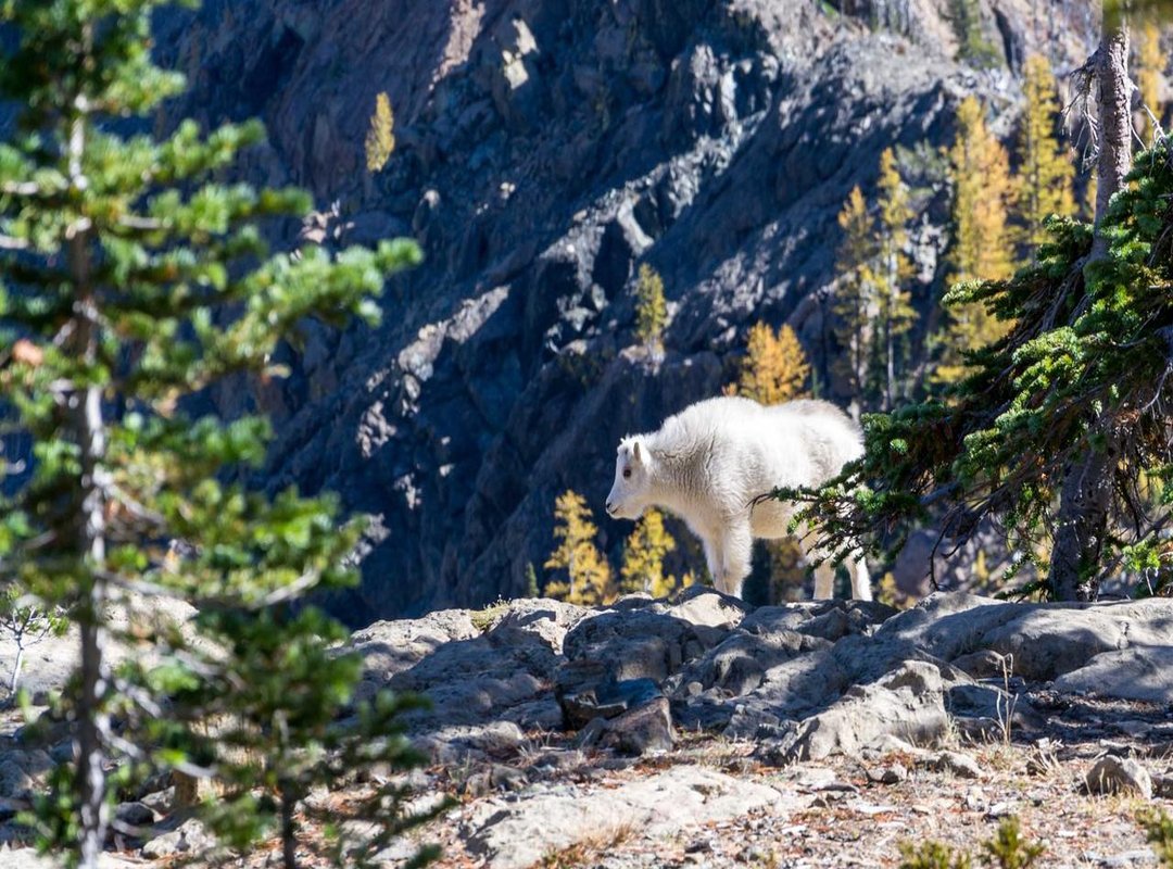 How to Use the Towel Trick: A 4-Step Guide