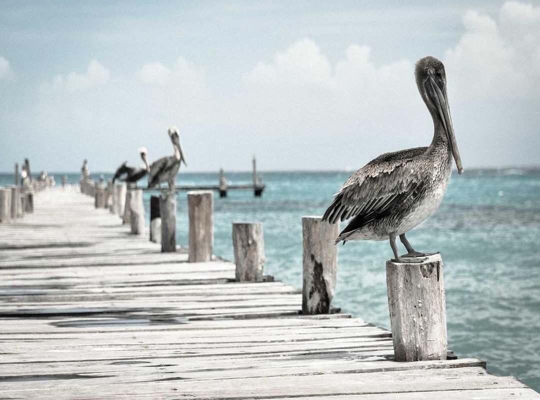 The Question: Why Does She Wear Her Zipper That Way?