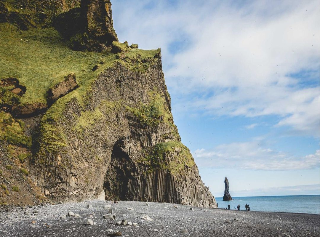 What's Inside: Store Layout and Special Collections