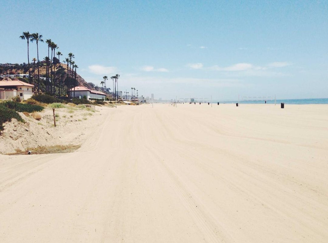 Strategic Placement: Where to Get a Dragon Tattoo for a Sophisticated Look