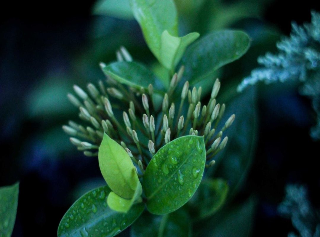 Frequently Asked Questions (FAQs)